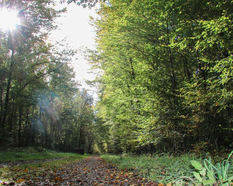 CTurpin_SarregueminesTourisme  Sur les traces des Spiritains