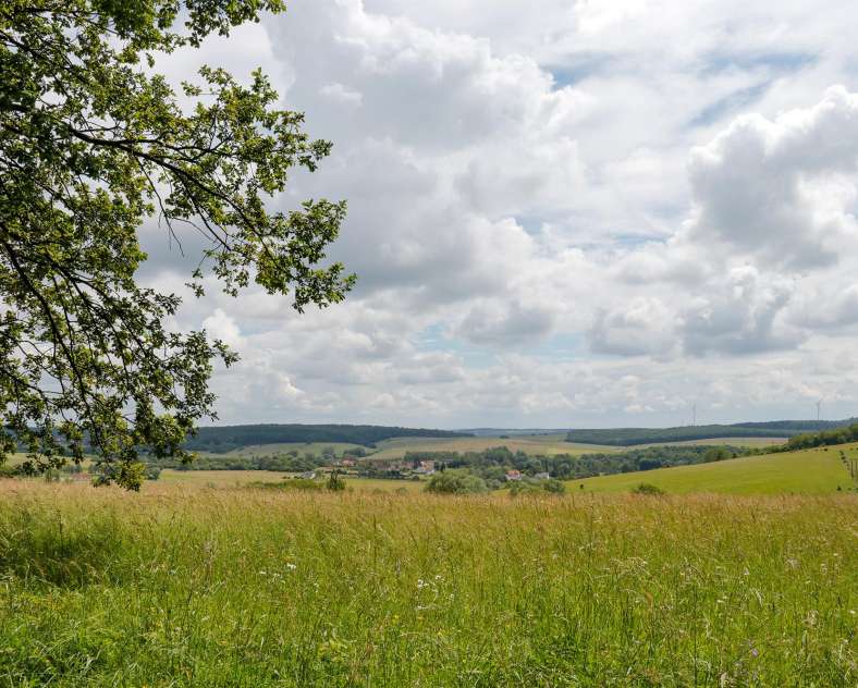 CTurpin_SarregueminesTourisme  Le Zettingerwald