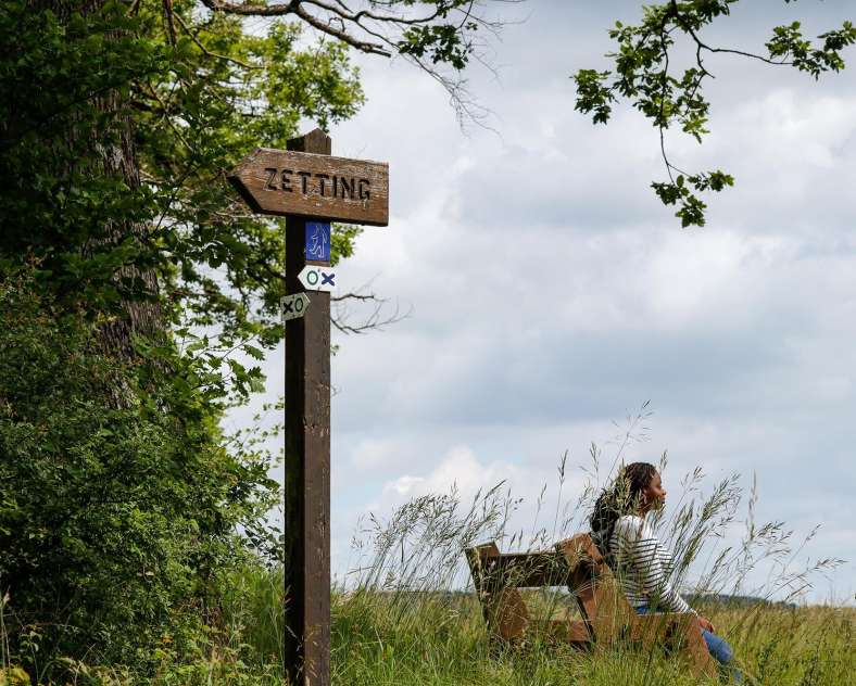 CTurpin_SarregueminesTourisme  Le Zettingerwald