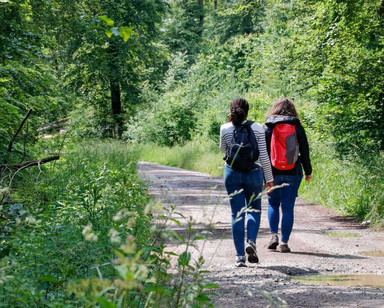 CTurpin_SarregueminesTourisme  Le Zettingerwald