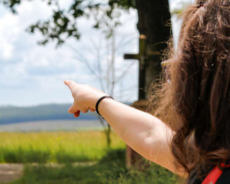 CTurpin_SarregueminesTourisme  Le Zettingerwald