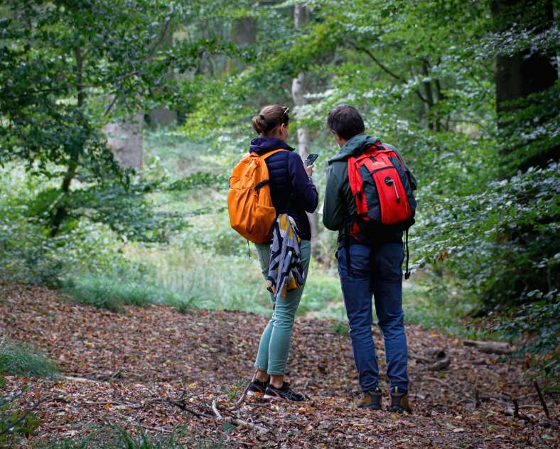 Jlauer_SgmsTourisme Chemin de Vie et des Crêtes