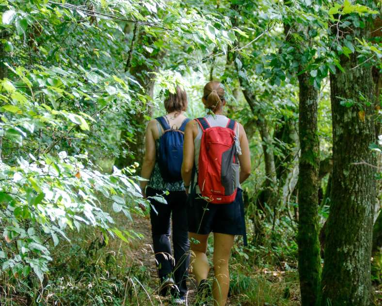 Sarreguemines Tourisme Le Chêne et le Roseau