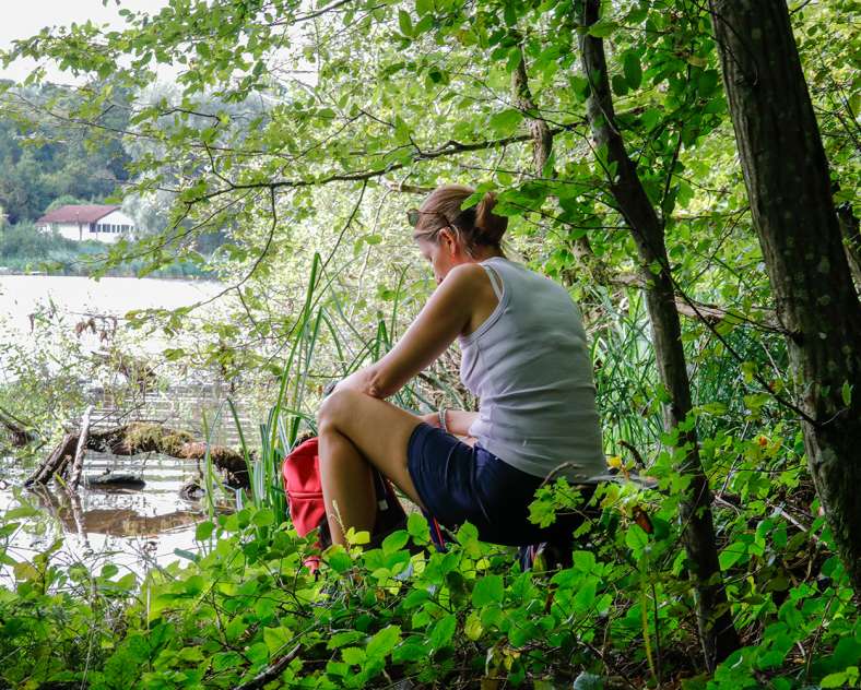 Sarreguemines Tourisme Le Chêne et le Roseau