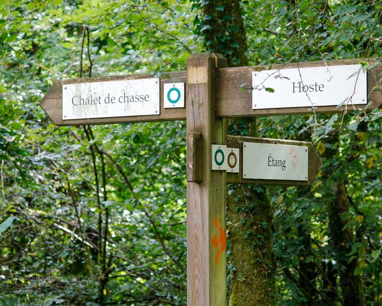 Sarreguemines Tourisme  Le circuit des Roseaux