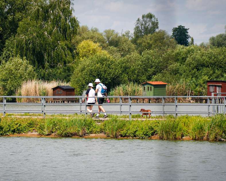 Sarreguemines tourisme Le tour de l'Étang du Welschhof