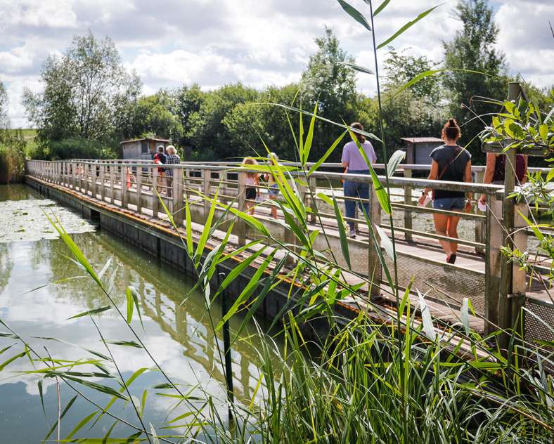 Sarreguemines tourisme Le tour de l'Étang du Welschhof