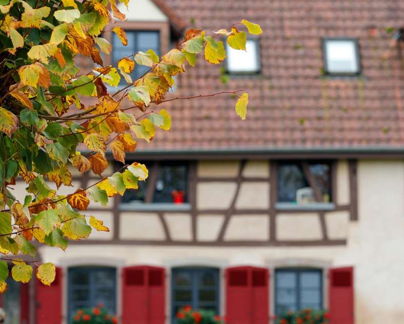 CTurpin_SarregueminesTourisme De la Ferme aux Pâturages