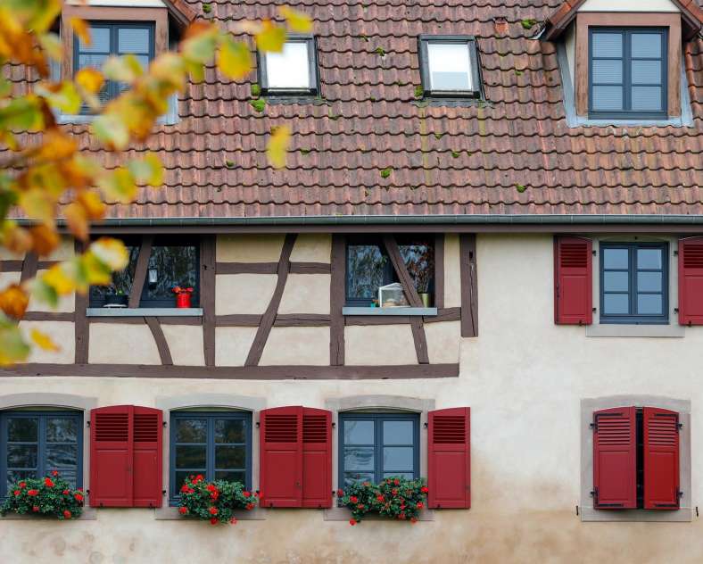 CTurpin_SarregueminesTourisme  Colchiques et Marais