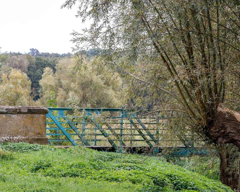 CTurpin_SarregueminesTourisme  Colchiques et Marais