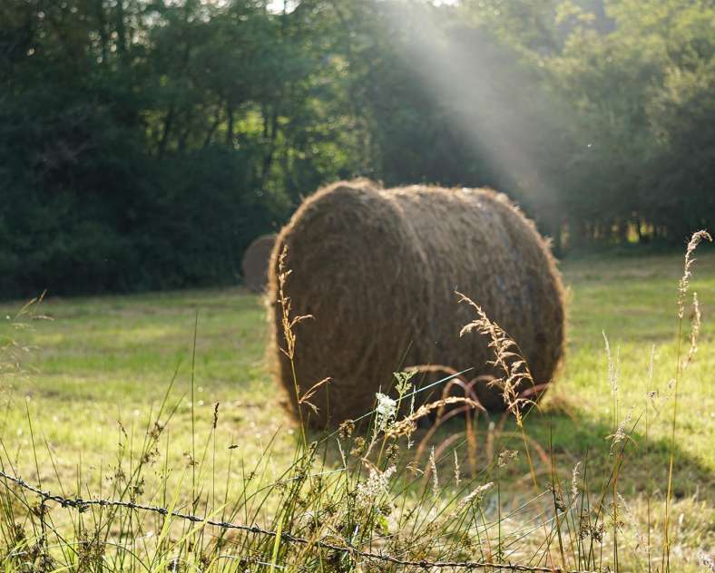 CTurpin_SarregueminesTourisme  Tourbières et Marais