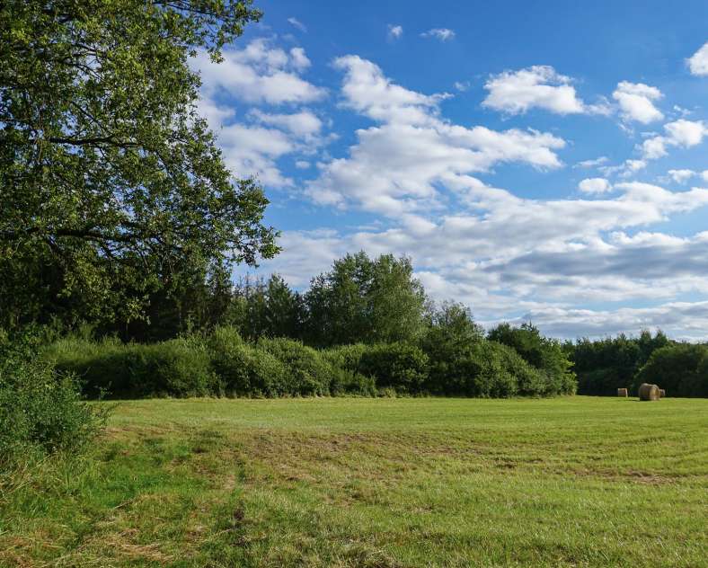CTurpin_SarregueminesTourisme  Tourbières et Marais