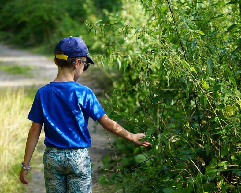 CTurpin_SarregueminesTourisme  Tourbières et Marais