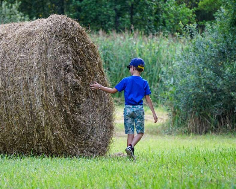 CTurpin_SarregueminesTourisme  Tourbières et Marais