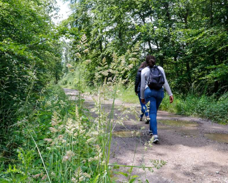 CTurpin_SarregueminesTourisme  Le Langenberg