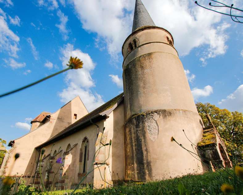 CTurpin_SarregueminesTourisme  Le Langenberg