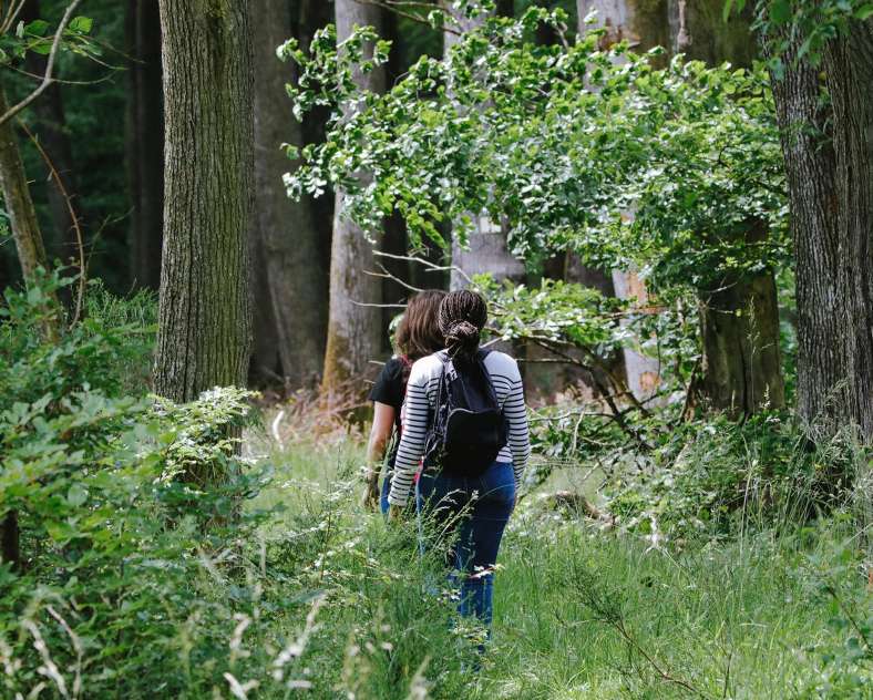 CTurpin_SarregueminesTourisme  Le Langenberg