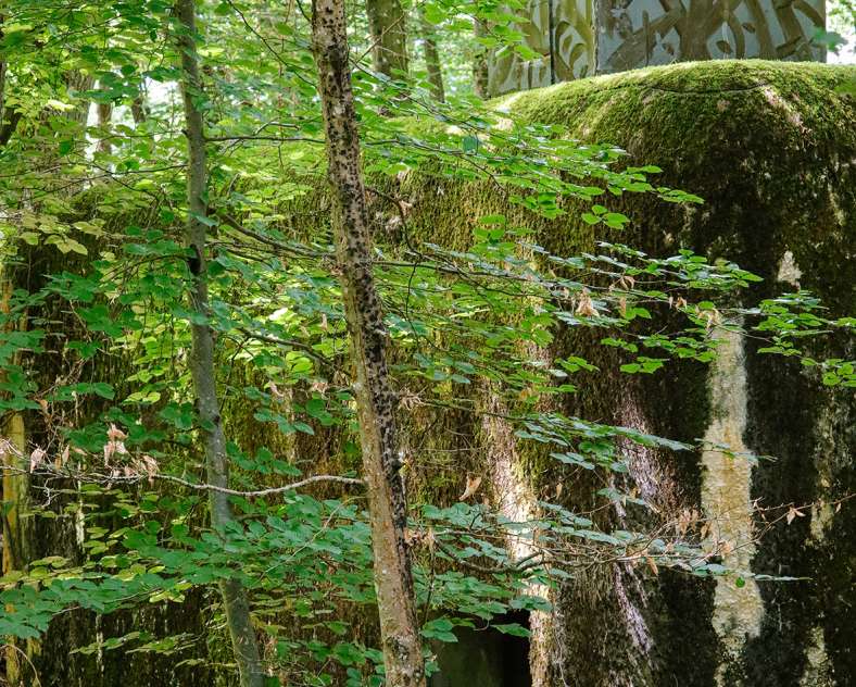 CTurpin_SarregueminesTourisme  Au fil des Blockhaus