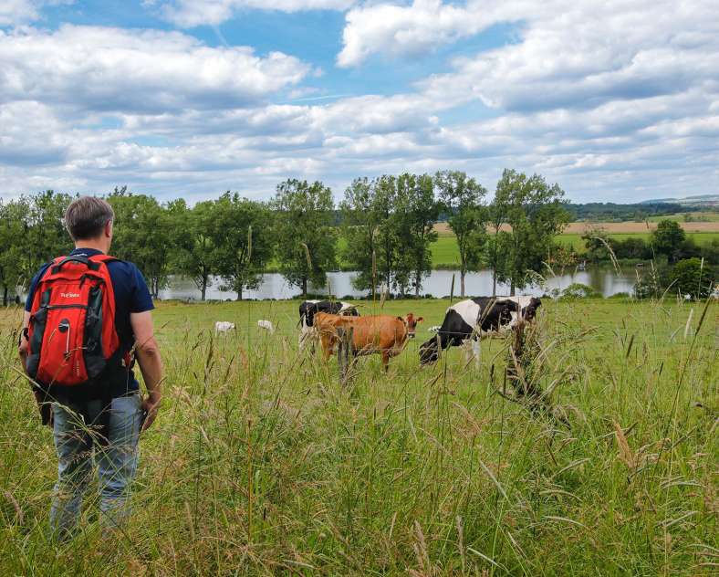 CTurpin_SarregueminesTourisme  Au fil des Blockhaus