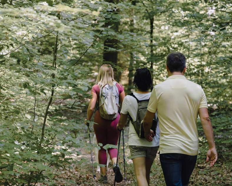 Alex Fabing Production Circuit du Lavoir