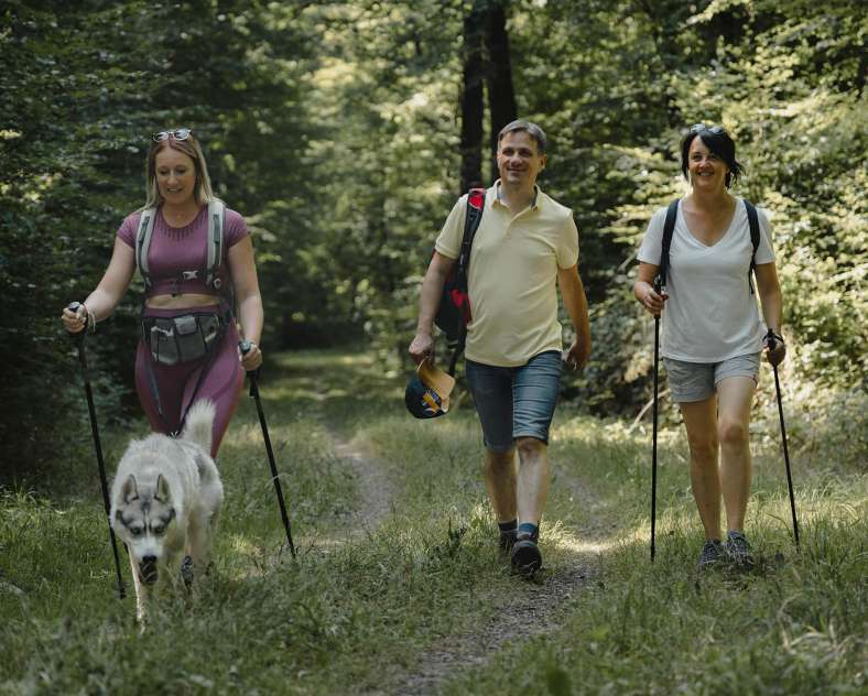 Alex Fabing Production Circuit du Lavoir