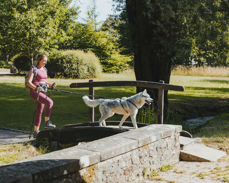 Alex Fabing Production Circuit du Lavoir