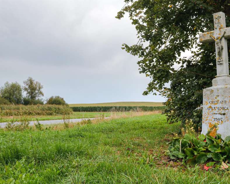 CTurpin_SarregueminesTourisme Le Chêne Hamann