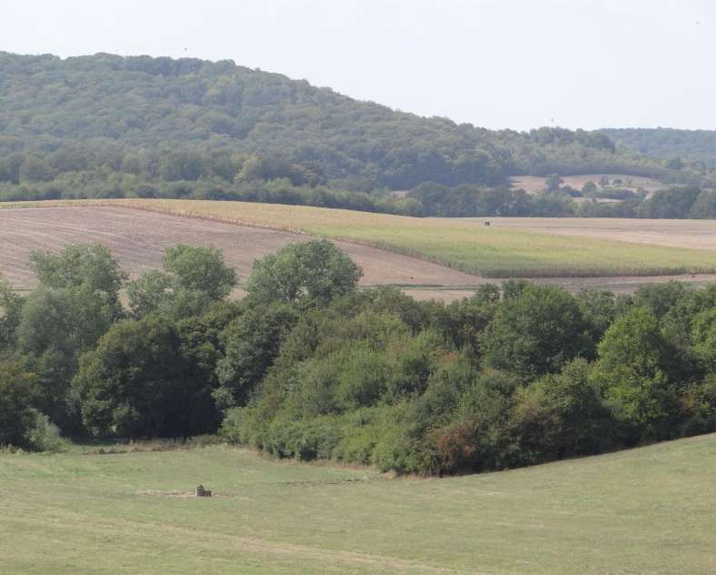 Alain Behr Circuit du Chêne et des Coteaux de la Canner