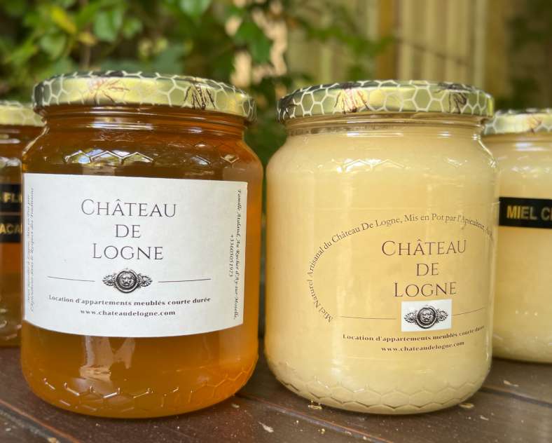 Château de Logne Château de Logne - appartement n°1