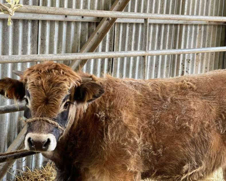 Ferme du Moulin Ferme du moulin