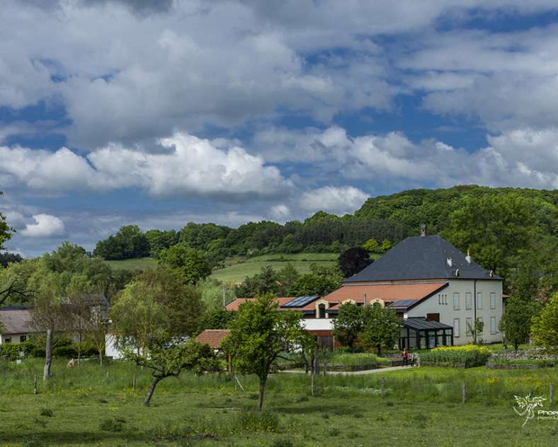 PM Moritz ace medias Moulin de Buding