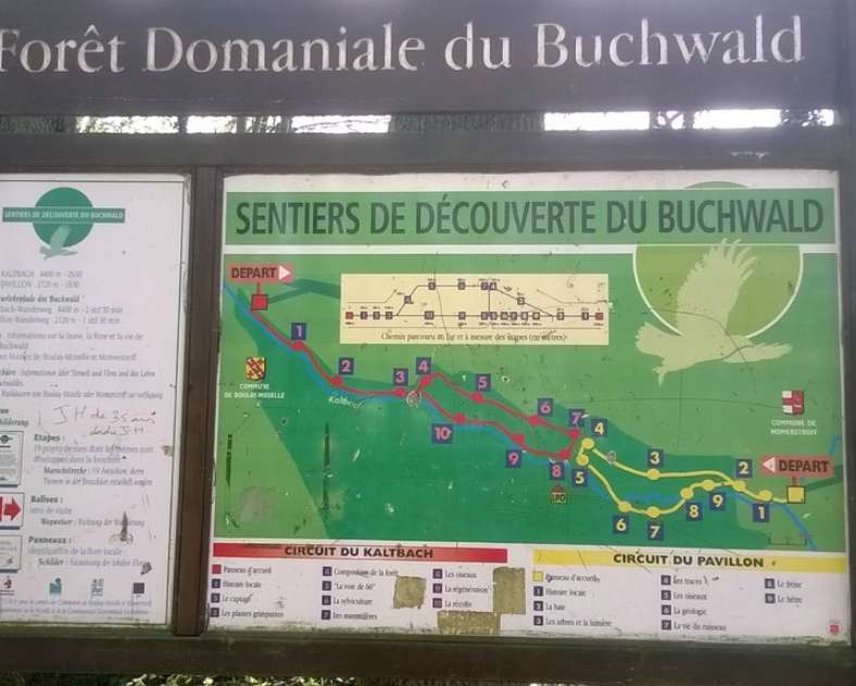 Rando Moselle  Sentier d'interprétation du Buchwald