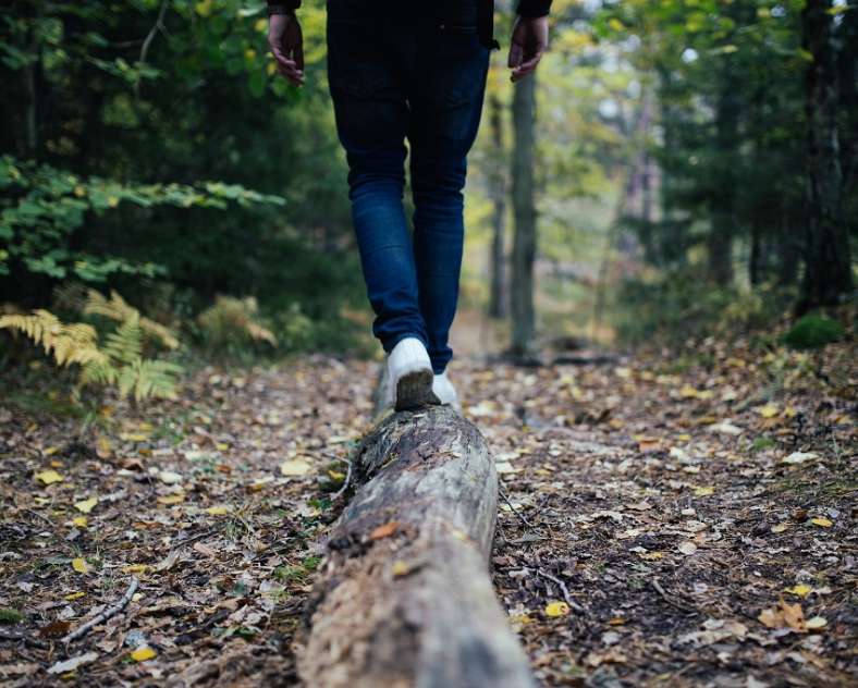 Photo libre de droit - Pixabay  Randonnée pédestre à Lelling