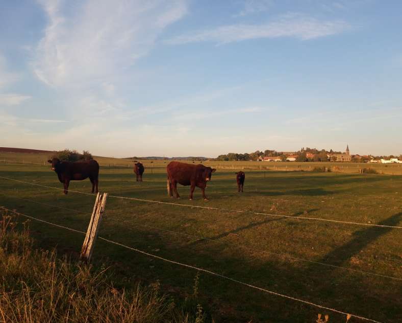 OT Saint-Avold Coeur de Moselle Autour de la chapelle de Klausenberg