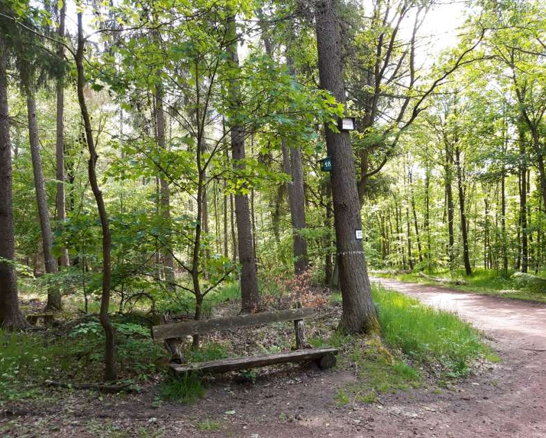 OT Saint-Avold Coeur de Moselle  Parcours pédagogique de l'Apon