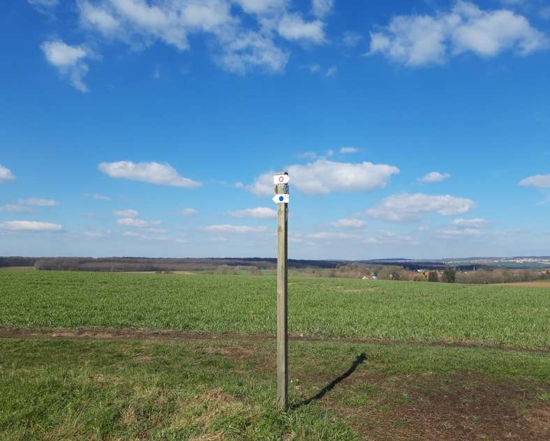 OT Saint-Avold Coeur de Moselle  Circuit La voie romaine