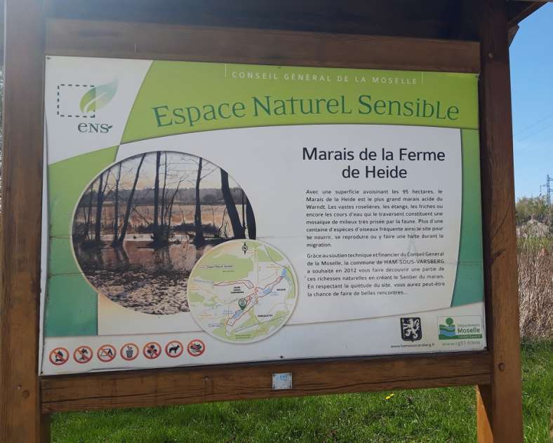 OT Saint-Avold Coeur de Moselle  Le sentier du marais - étang de l'Escherbruch