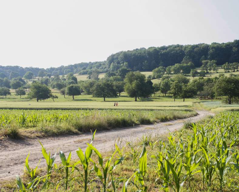 RANDO BLIES WANDERWEG