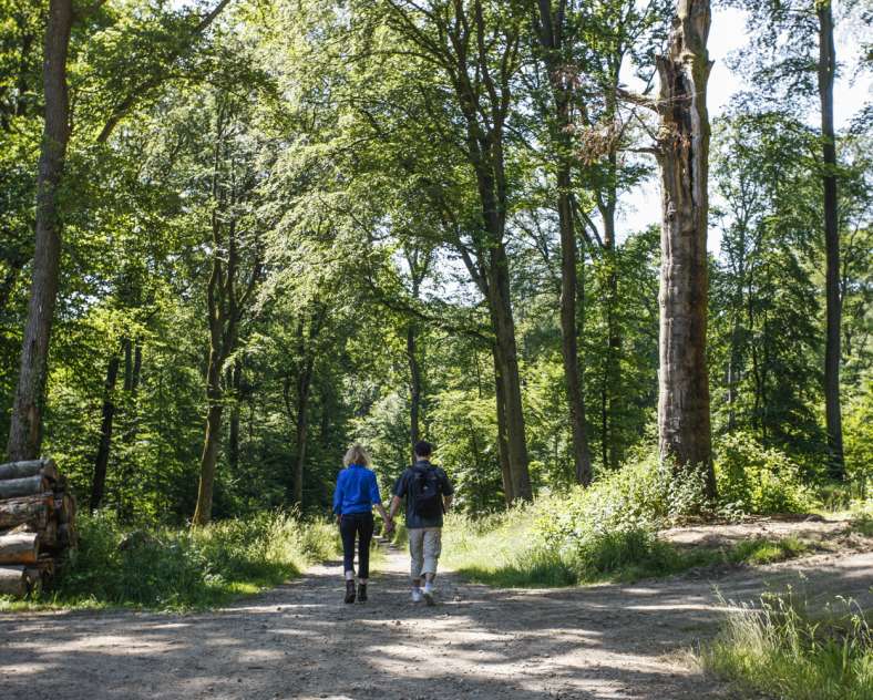 Gilles Pecqueur - Sarreguemines Tourisme  Rando blies wanderweg