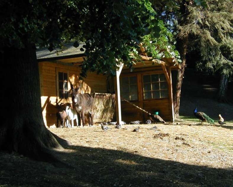 Sarreguemines Tourisme  Le parc municipal