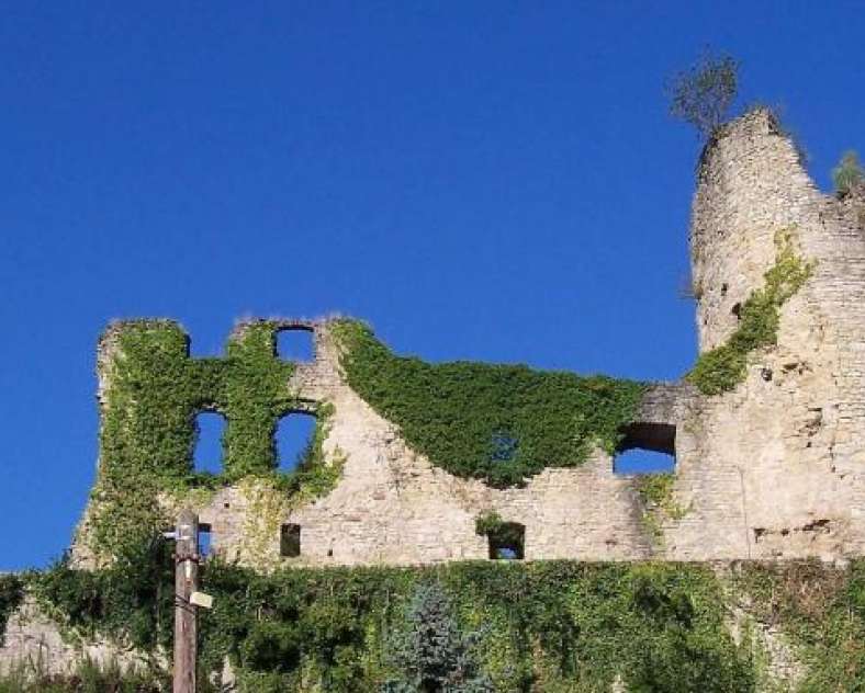 Françoise Massing Ruines du Château de Frauenberg