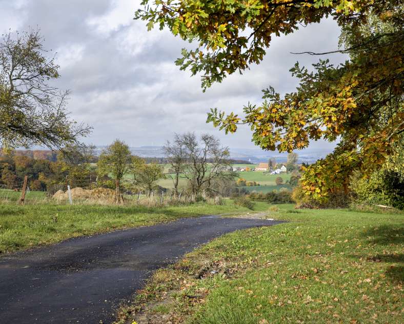 Mairie de Woelfling  La voie romaine