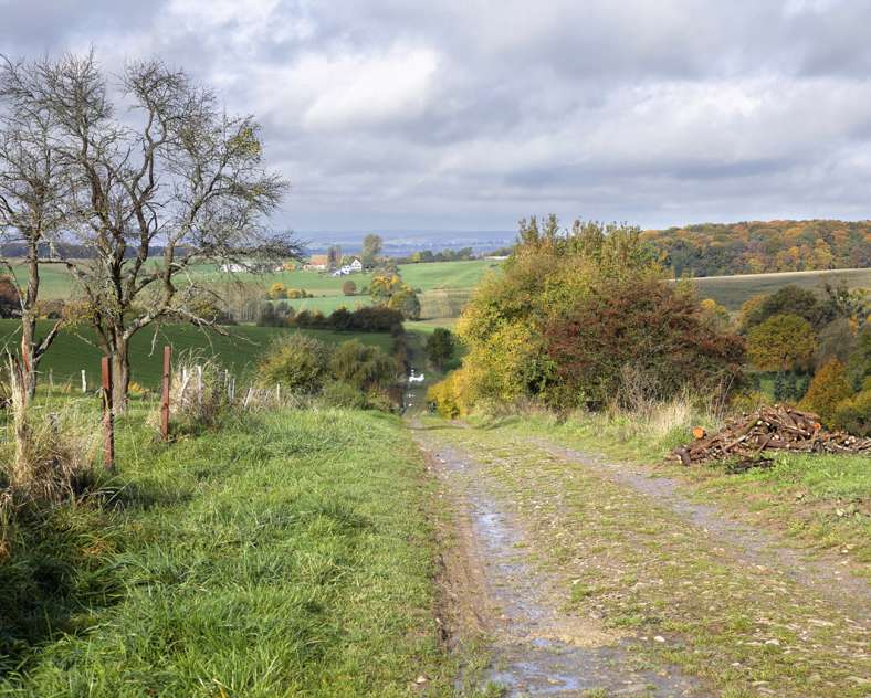 Mairie de Woelfling  La voie romaine