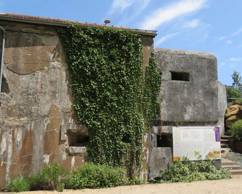 Mr Keuer Route de la ligne maginot aquatique