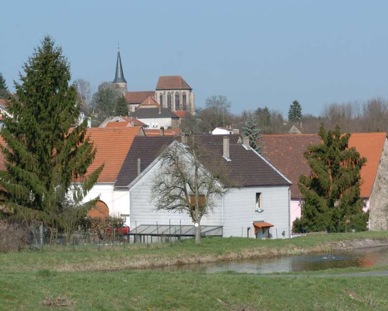 Philippe Gisselbrecht Vélo vis à vis