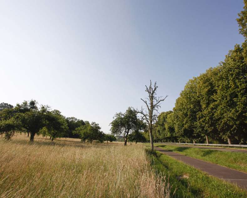 Gilles Pecqueur - Sarreguemines Tourisme Circuit sur les traces des romains