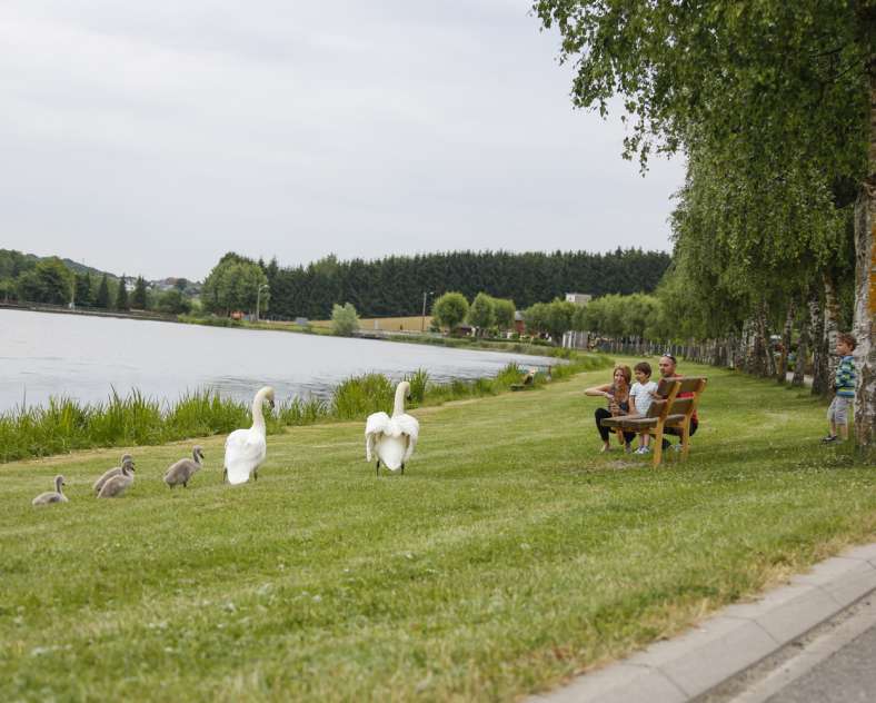 Gilles Pecqueur Voie verte de Sarreguemines grundviller