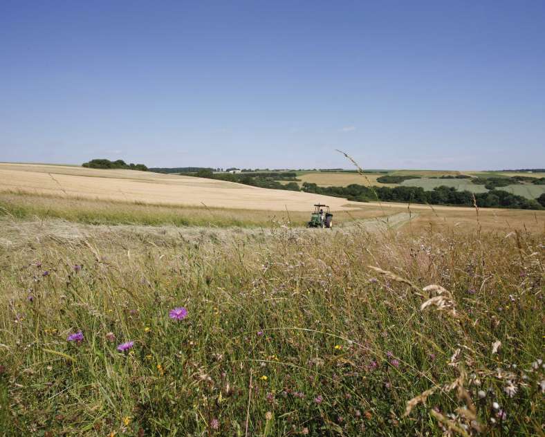 Gilles Pecqueur Voie verte de Sarreguemines grundviller
