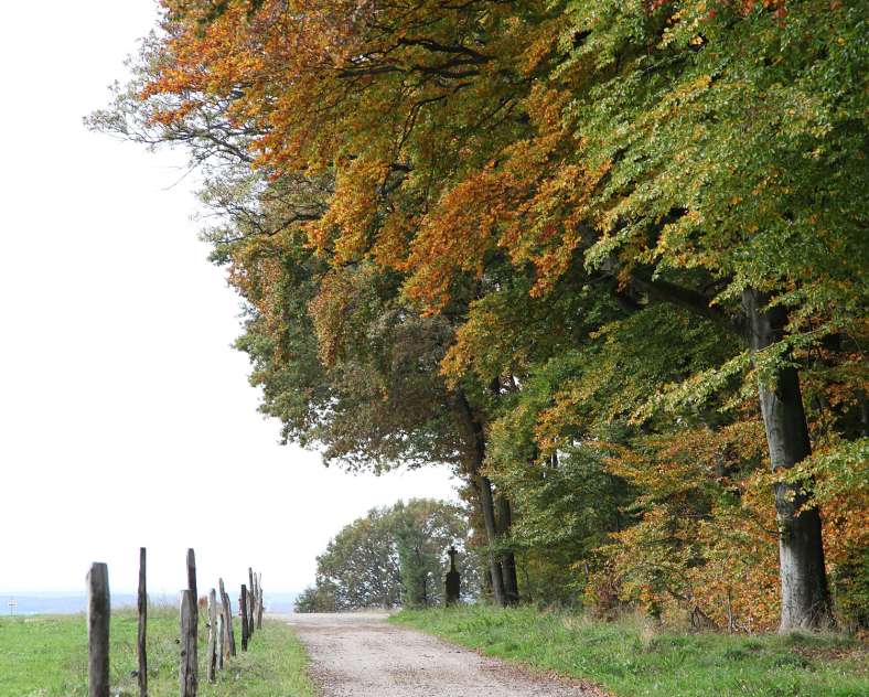Autrement Vu Circuits pédestres à Woelfling-les-Sarreguemines
