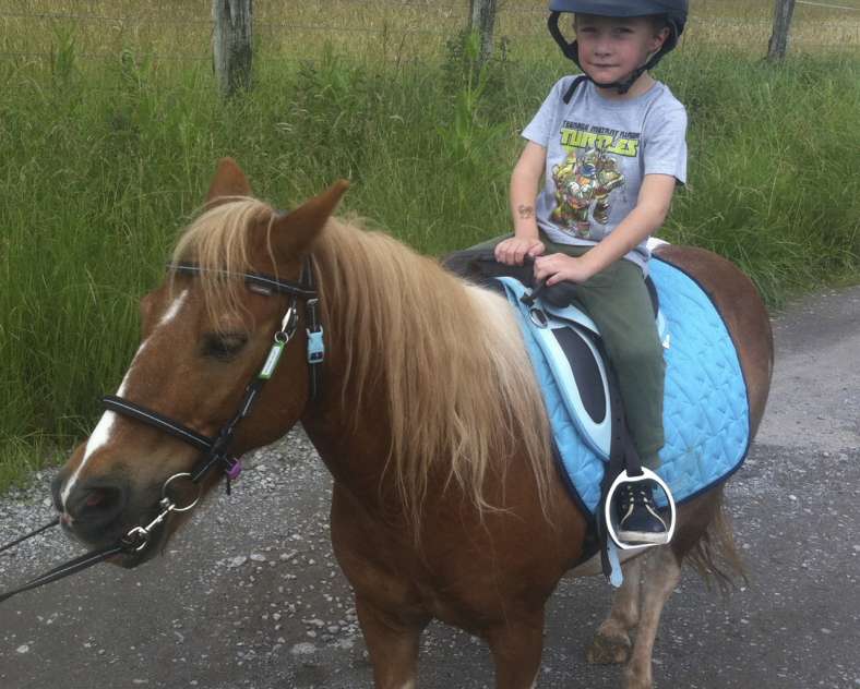 CLang-SarregueminesTourisme Balade à poneys - Élevage Del Navajo